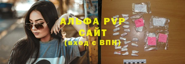 СК Михайлов