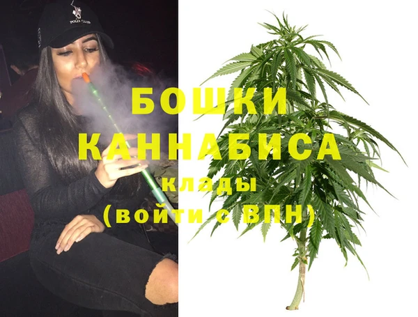 гашик Медвежьегорск