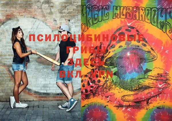 МДПВ Михайловка