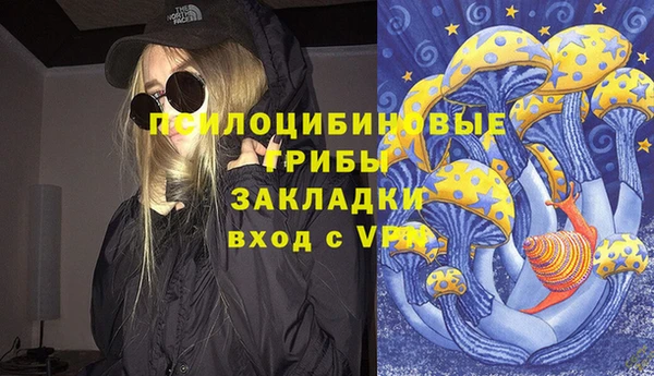 МДПВ Михайловка