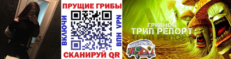 Псилоцибиновые грибы Cubensis  Калуга 